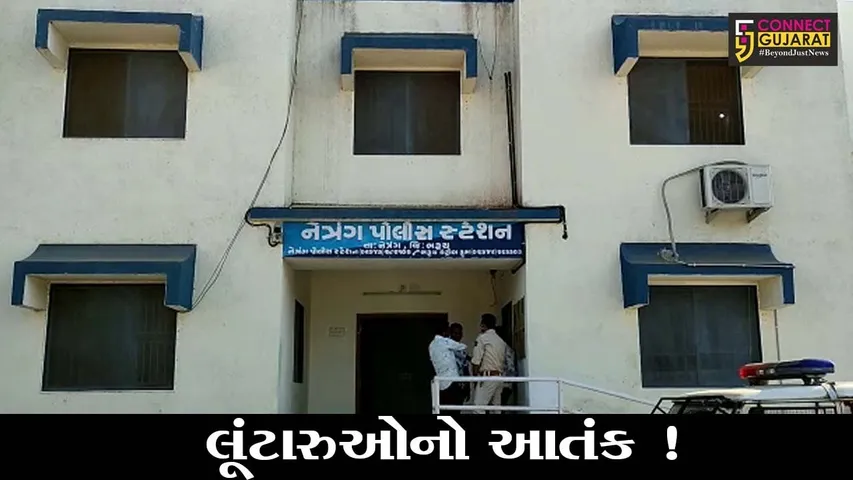 ભરૂચ:નેત્રંગ નજીક ટેમ્પા ચાલકને માર મારી ૧૫ ભેંસો ભરેલા ટેમ્પા સહિત રૂ.૯.૫૯ લાખના માલમત્તાની લૂંટ,પોલીસે શરૂ કરી તપાસ