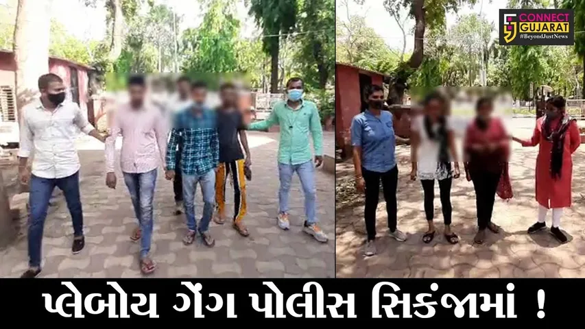 અમદાવાદ: હાઈ પ્રોફાઈલ મહિલાઓ સાથે શારીરિક સંબંધ બાંધી પૈસા કમાવાની લાલચ આપી ઠગાઇ કરતી ટોળકી ઝડપાય !