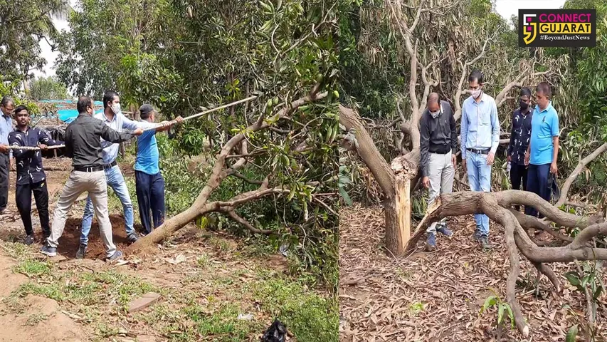 ભાવનગર : 230 ગામડાઓમાં ખેડૂતોને પાક સંરક્ષણ અંગે તાલીમ અપાઈ