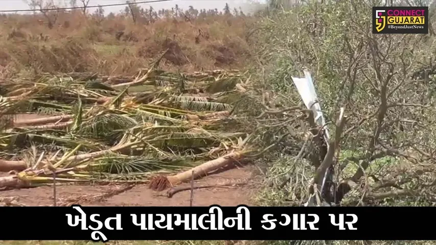 ગીર સોમનાથ : તાઉતે વાવાઝોડાએ સર્જી ભારે તારાજી, ખેતી-બાગાયતી પાકોના નુકશાન સામે સર્વેની કામગીરી શરૂ
