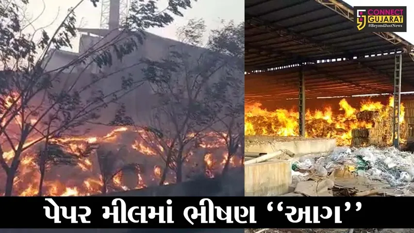 વડોદરા : લાકોદરાની પેપર મીલમાં ફાટી નીકળી હતી ભીષણ આગ, ફાયર ફાઇટરોએ આગ પર મેળવ્યો કાબુ