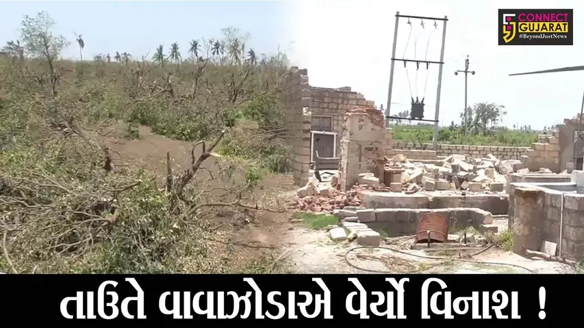 ગીર સોમનાથ:તાઉતે વાવાઝોડાથી 48 હજાર ખેડૂત અસરગ્રસ્ત, રૂપિયા 125 કરોડથી વધુની સહાય ચૂકવાશે