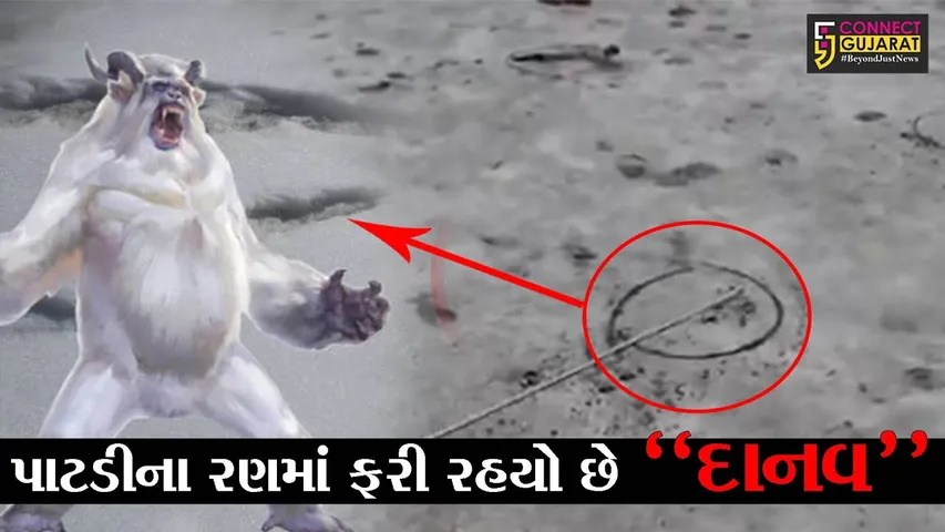 સુરેન્દ્રનગર : પાટડીના રણમાં ફરી રહયો છે "દાનવ", જુઓ અગરિયાઓમાં કેમ છે ભય