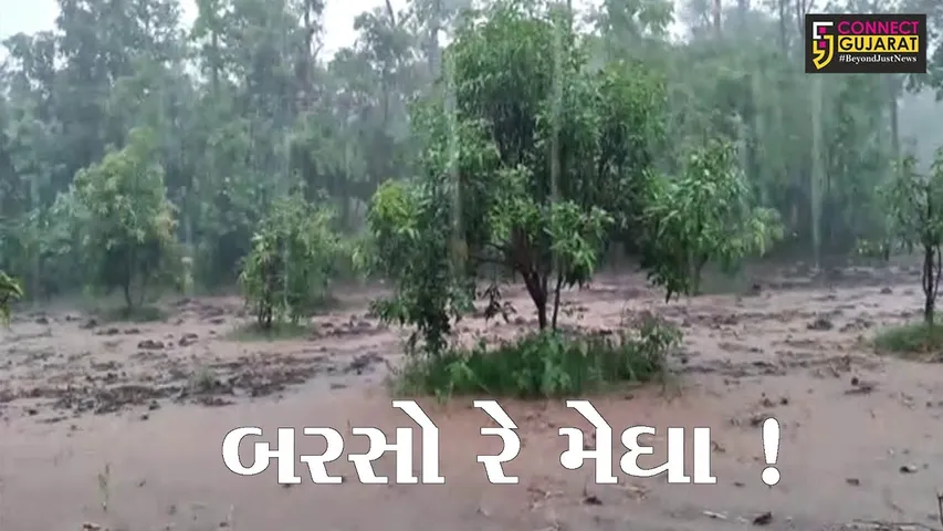 વલસાડ: નૈરૂત્યના ચોમાસાનું આગમન, ઠેર ઠેર ભારે વરસાદ વરસ્યો