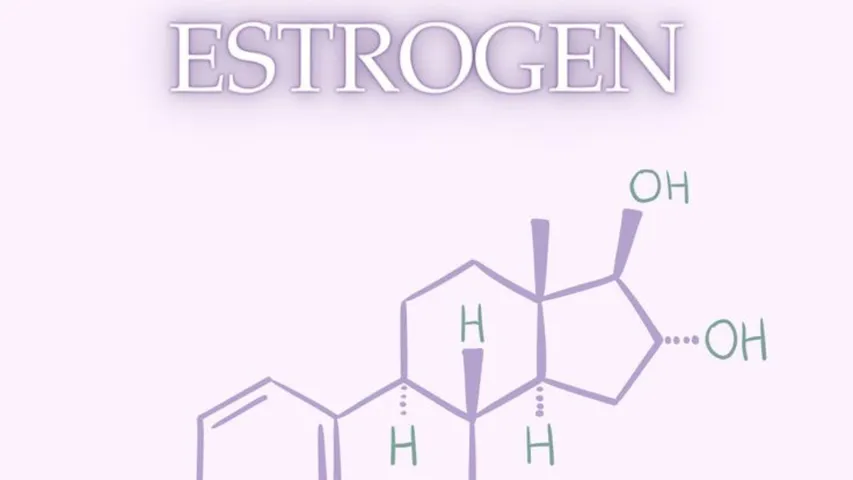 Estrogen.1