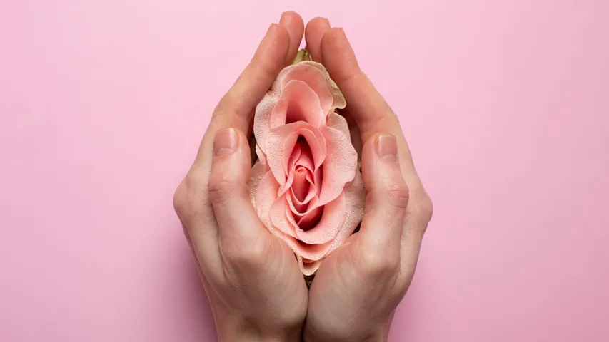 Know your Vagina 