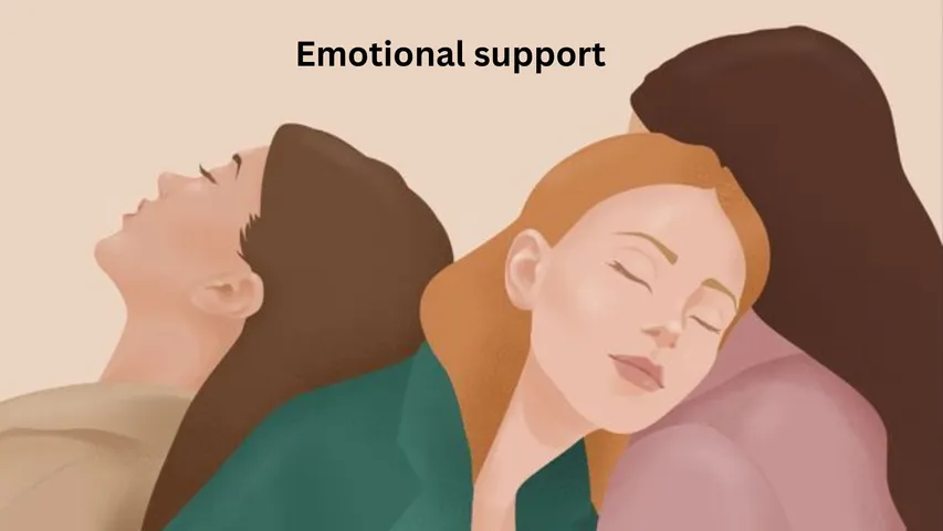 Emotional support 
