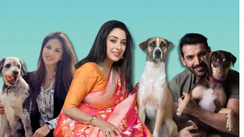 Celebrities Who Adopted Indie Dogs