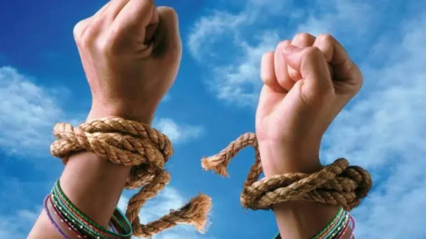 Freedom 