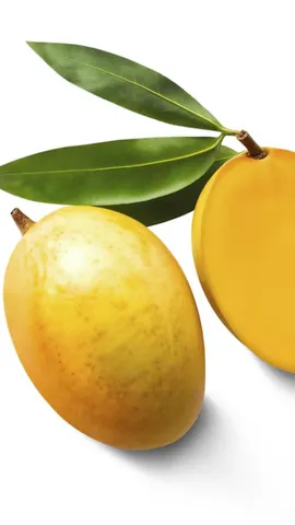 mango d