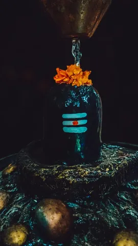 Taste Meets Tradition 6 Vrat Friendly Dishes for Shravan Mondays