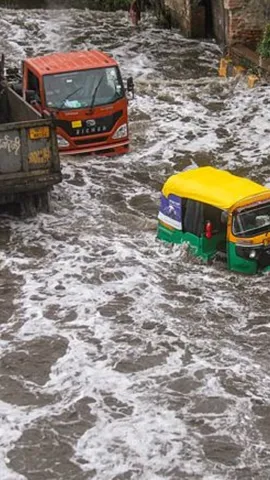 gurgaon municipal corporation