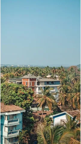 goa 6