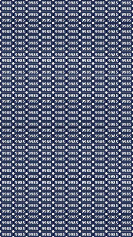 Can You Find 9983 Hidden Among 9985 in 9 Seconds
