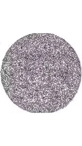 Hidden Sentence Optical Illusion Is Fooling the Internet