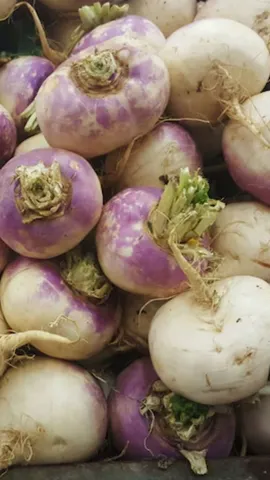 Eating turnip, benefits of turnip