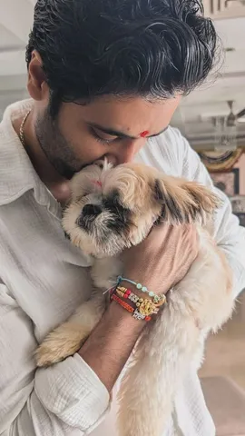 Bollywood celebrities on stray dogs