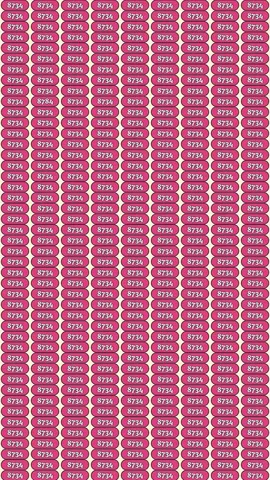 Prove Your IQ by Finding the Hidden Number