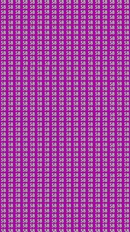 Can You Find These Two Hidden Numbers