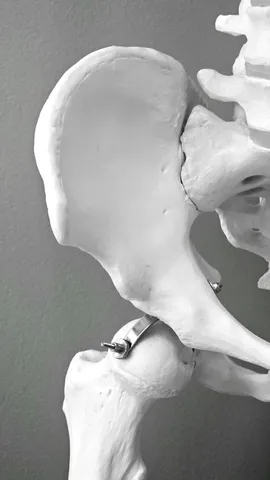 Bone Health