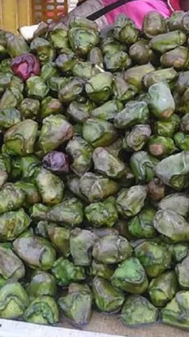 Eating water chestnuts