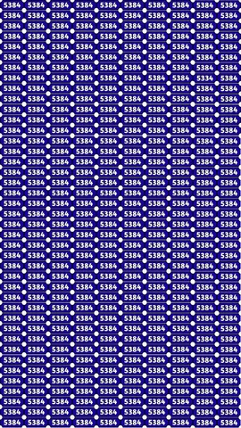 Find the Hidden Number 5334 in Just 8 Seconds