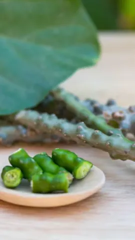 Benefits of Giloy Juice