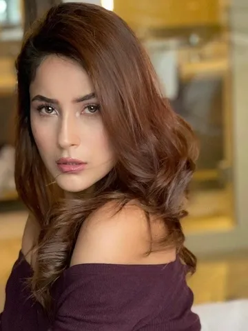 शहनाज गिल से लें हेयरस्टाइल टिप्स