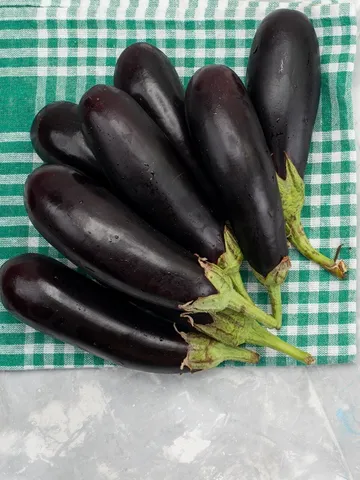 कोलेस्ट्रॉल कंट्रोल करने से लेकर इम्यूनिटी बढ़ाने तक में बेहद फायदेमंद है बैंगन, जानें अन्य फायदे