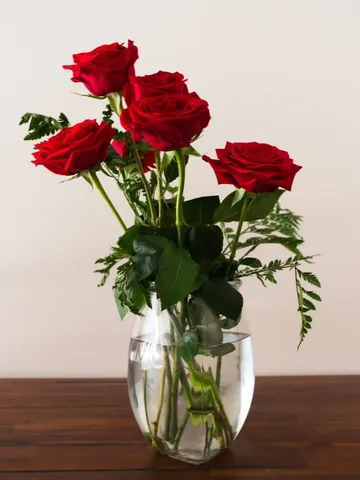 Rose Day 2023: जानें किस रंग के गुलाब का क्या है मतलब