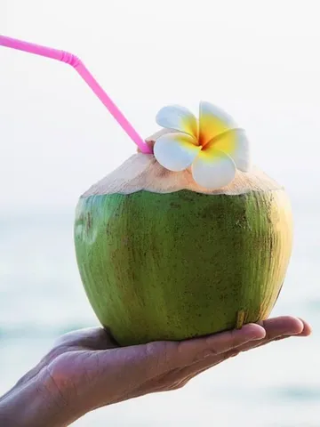 क्या आप भी पीते हैं हरे नारियल का पानी, जानिए इसके फायदे