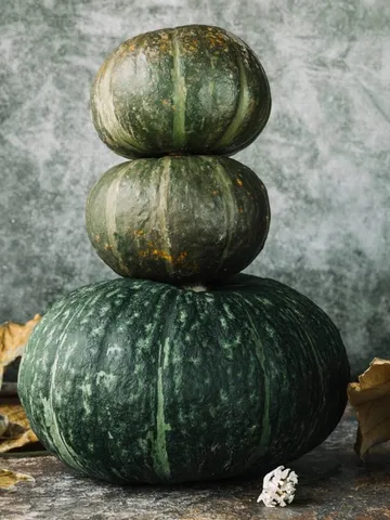 कद्दू खाने के ये हैं 6 जबरदस्त फायदे