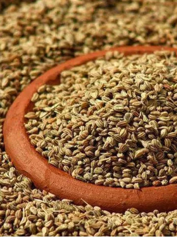 घर के इस दिशा में रखें अजवाइन, दूर होगी आर्थिक तंगी