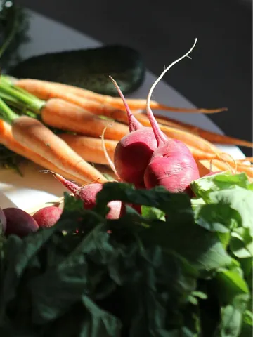 रोजाना करेंगे चुकंदर-गाजर के जूस का सेवन तो मिलेंगे अद्भुद फायदे