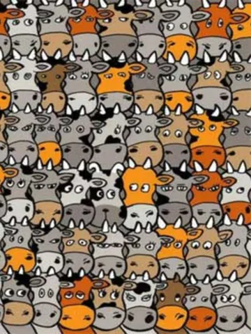 इस तस्वीर में गायों के बीच छिपा है एक Dog, वक्त है सिर्फ 9 सेकंड का, क्या पूरा कर पाए आप चैलेंज?