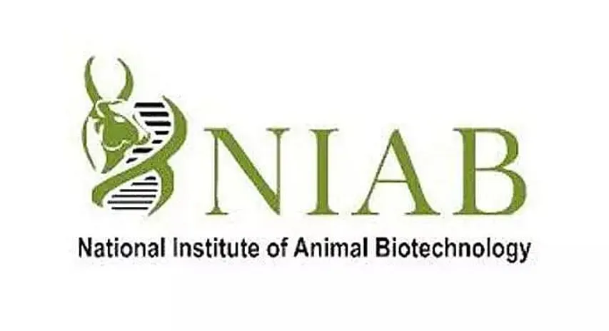 NIAB Recruitment 2020 for Project Associate -II