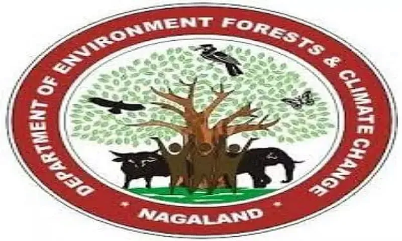 Department Of Environment, Forests & Climate Change, Nagaland Job