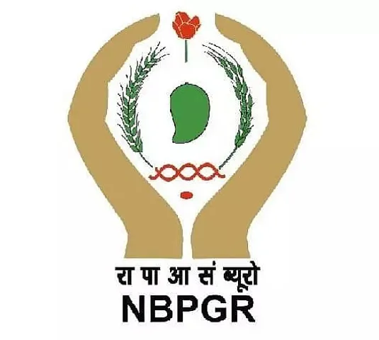 NBPGR Recruitment 2020 for Young Professional II