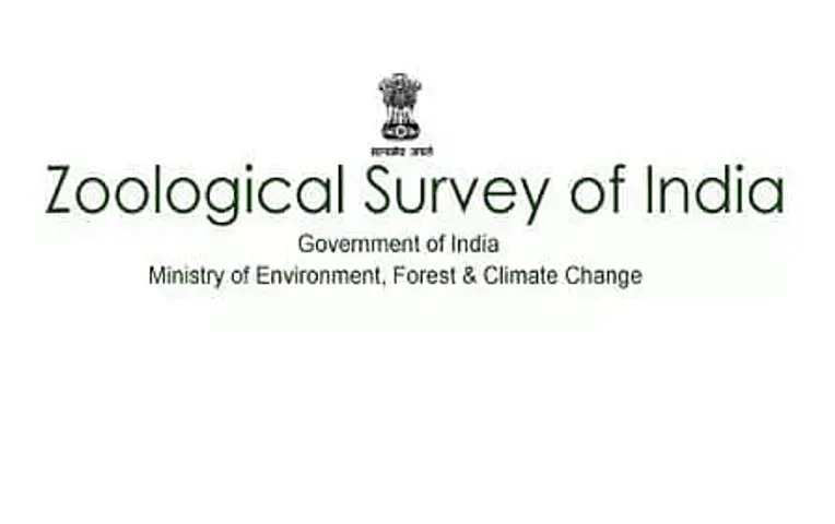 ZSI Recruitment 2020 for Junior Research Fellow/Senior Research Fellow