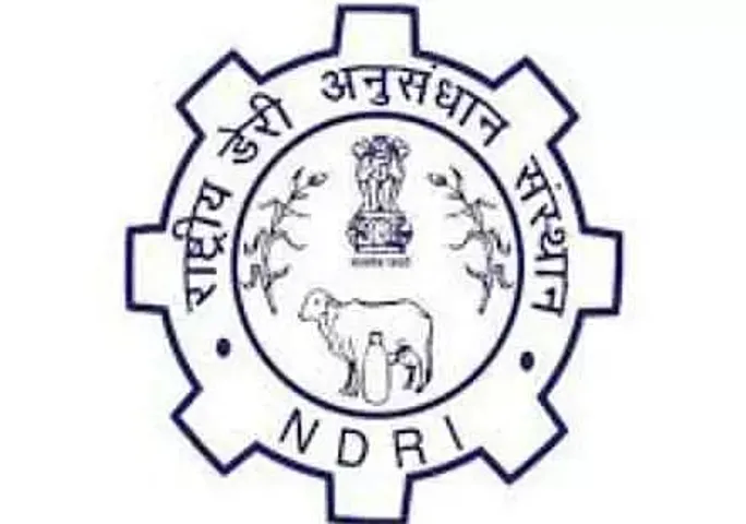 NDRI Recruitment 2020 (17 Posts)
