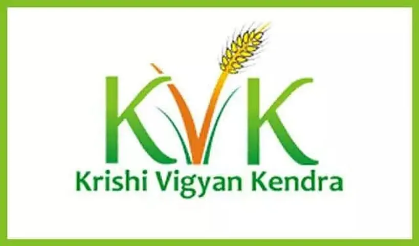 KVK Nawada Job Recruitment- 1 Stenographer Grade-III vacancy, Job opening
