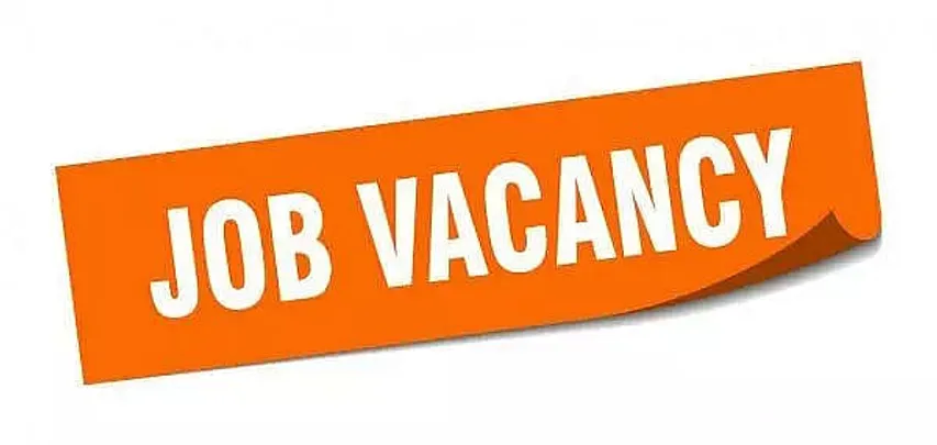 Nirvana Foundation Recruitment 2021 - Accountant and Others Vacancy, Job Openings