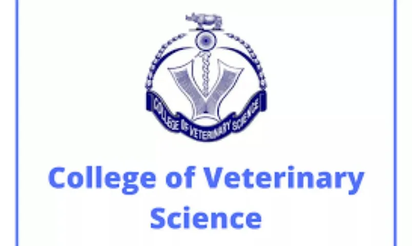 College Of  Veterinary Science Guwahati Recruitment 2021 - 6 Project Associate, Young Professional & Other Vacancy, Job Openings