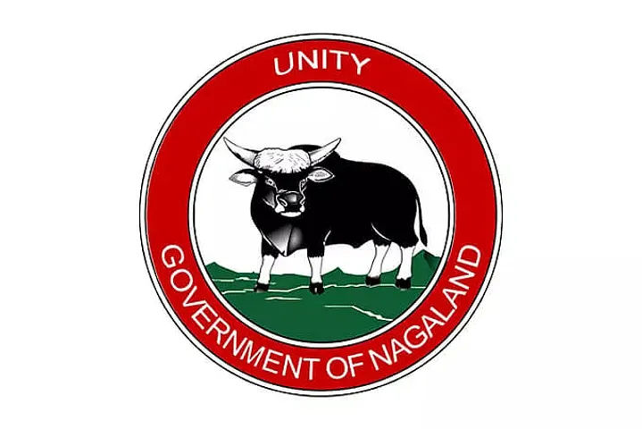 Nagaland Education Mission Society Recruitment 2021 - Graduate Teacher Vacancy, Job Openings