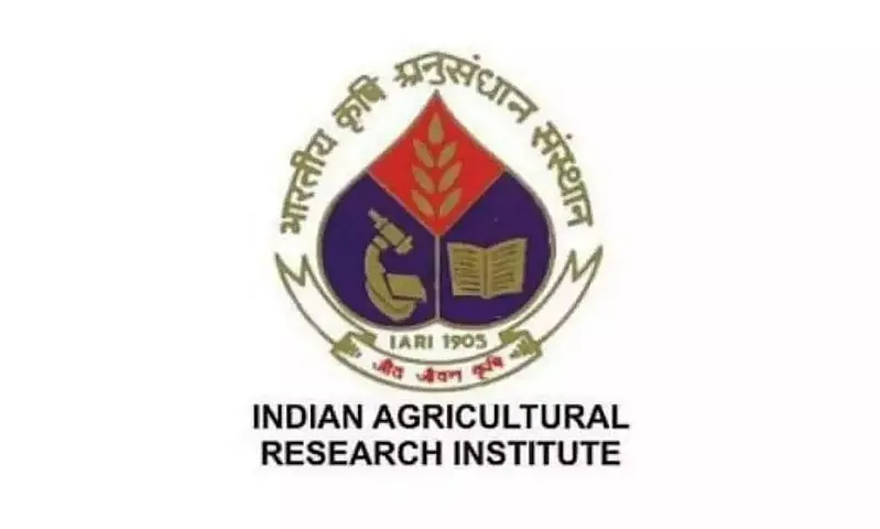 IARI Recruitment 2021 - Accountant Administrator Vacancy, Job Openings