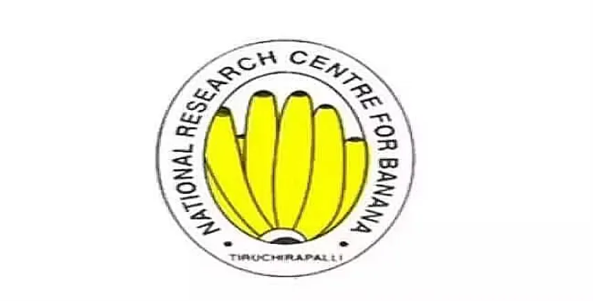 NRCB Recruitment 2024 - Junior Project Assistant Vacancy