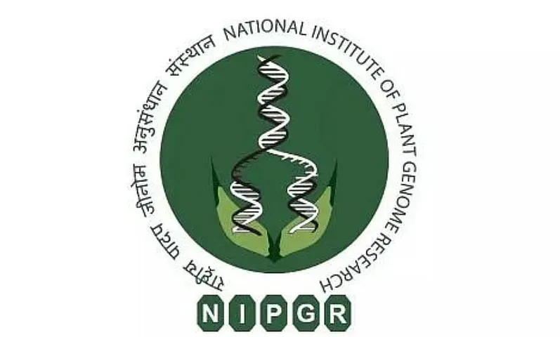 NIPGR Recruitment 2024 - Project Associate I Vacancy