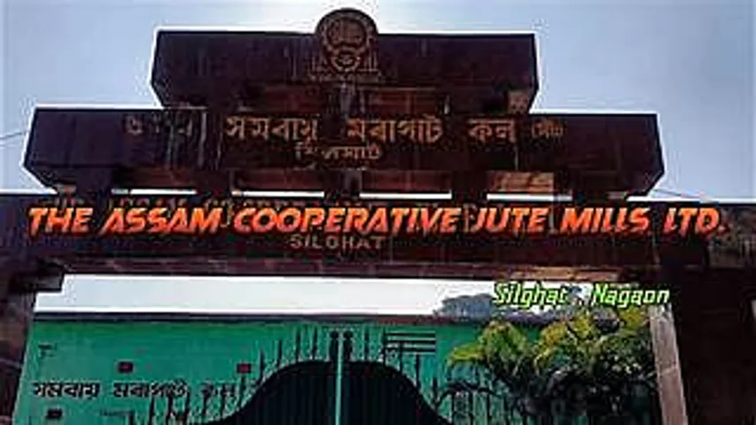 Assam Career: Assam Cooperative Jute Mills Recruitment 2024 - Labour Welfare Officer Vacancy