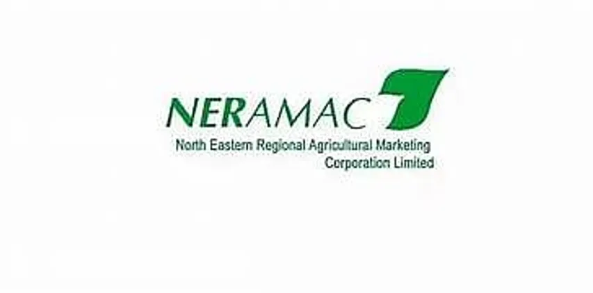 Assam Career: NERAMAC Recruitment 2024 - Deputy General Manager Vacancy