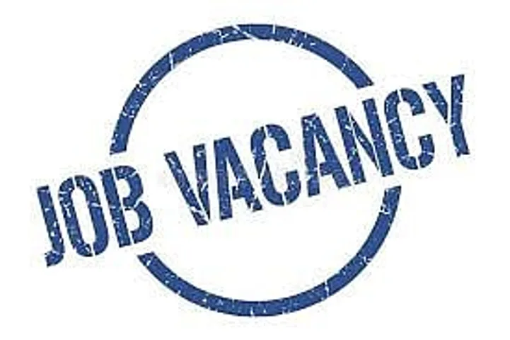 Jobs in Assam: Pub Bongsor College Recruitment 2024 - Principal Vacancy